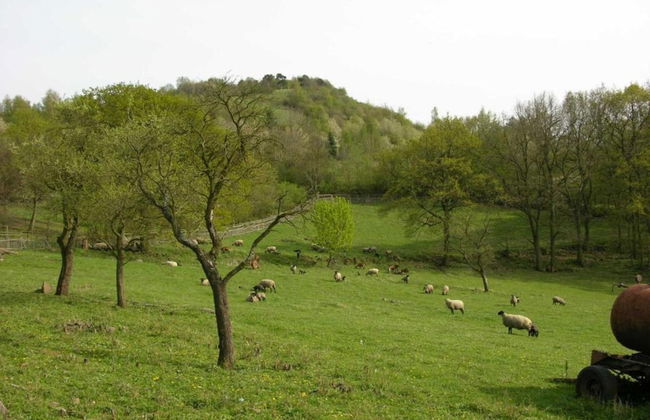 Bedroom Farmhouse by the Woods - Foto 17