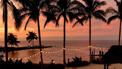 3 Beautiful 4 Bed 3 Bath Pool Home w Free Dock - Foto 3