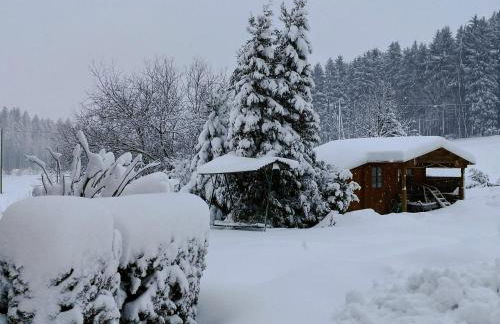 Pumphuts Scheune Ferienwohnungen Nr 1 - 4 beim Freizeitpark Plohn - Foto 62