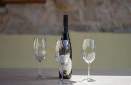 Stone House Lozica - Photo 28