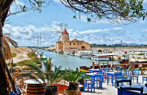 Il Violoncello - Foto 30