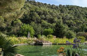 L'Etang Des Cigales - Foto 38