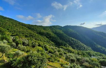 casa di arya CODICE CITRA LT-0043 - Foto 41