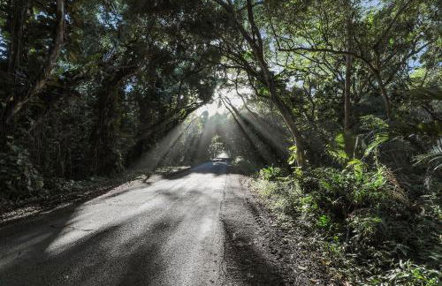 Mala o Kilauea Nature Retreat - Foto 50