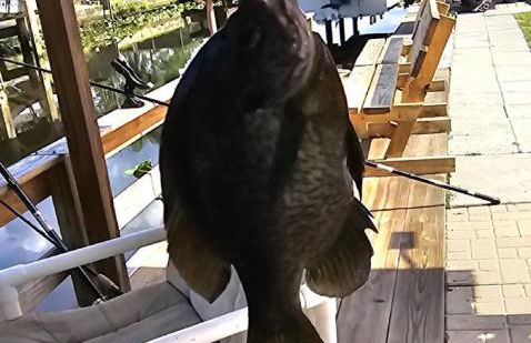 FREE BOAT to use ,Fish Camp, Water Front, Pets ok - Foto 60