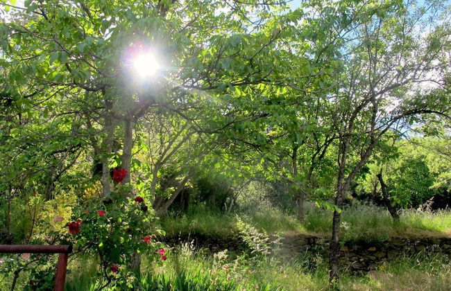 Apartamentos Balcón del Cielo - Foto 38