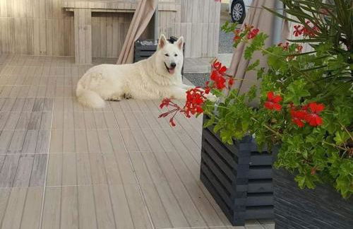 Maison rénovée à la ferme avec jardin privé, WI-FI, pêche, balançoire, trampoline - Brem-sur-Mer - FR-1-426-103 - Foto 20