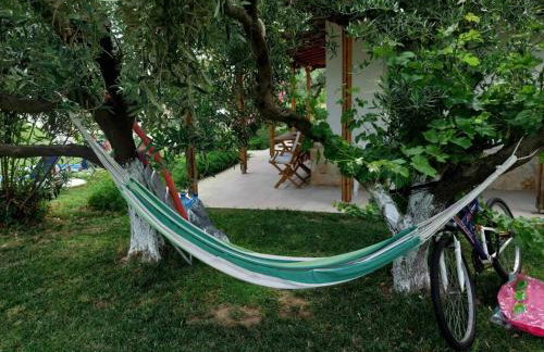 Bill & Eva's precious jewel - Photo 34