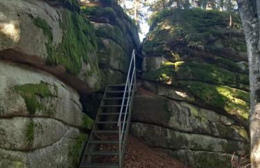 Bayerwaldtiny - Foto 29