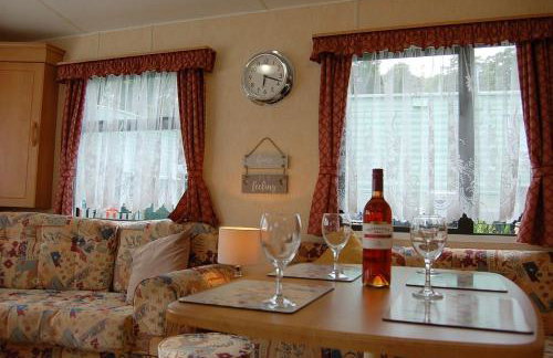 Caravan B26 at The Woodlands - Foto 7