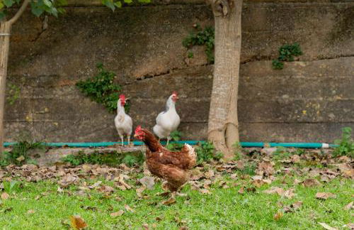 Yourhouse Villa Sa Caseta - Foto 26