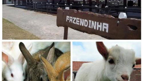 Flat no Condomínio Monte Castelo ao lado da área de lazer, Gravatá-PE - Foto 4