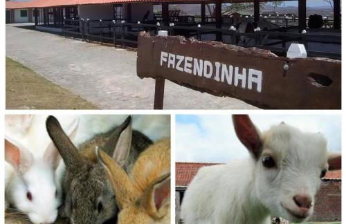 Flat no Condomínio Monte Castelo ao lado da área de lazer, Gravatá-PE - Foto 4