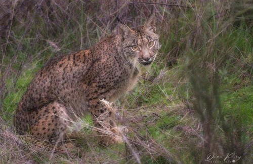 Casa Rural Tita Sacramento - Photo 53