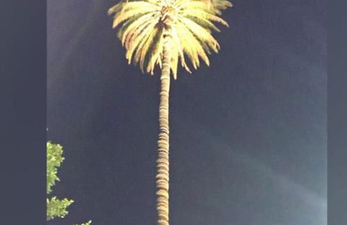 Casa Reyes Fataga Apta Reyes - Foto 25