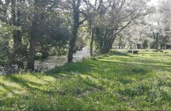 Cottage - Sleeps 2 - River Lynher walks & fishing - Photo 10