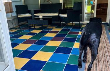 House of Shells, beautiful garden, fenced yard, dog friendly, fire pit! - Foto 23