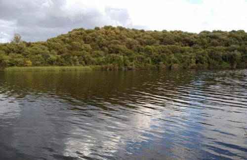 La sombra del lagarto - Foto 8