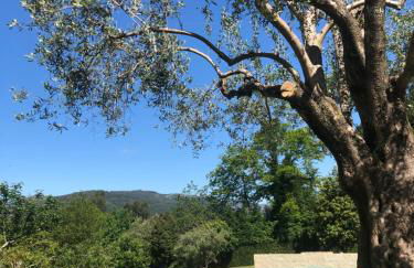 Quinta de Barbêdo - Turismo Rural - Foto 16