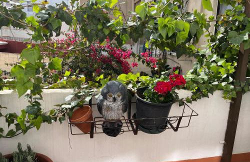 Apartamento Ruzafa Centro II - Foto 15