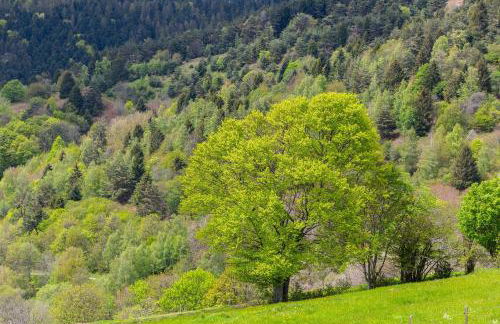 Le Loft de l ancienne forge - Foto 12