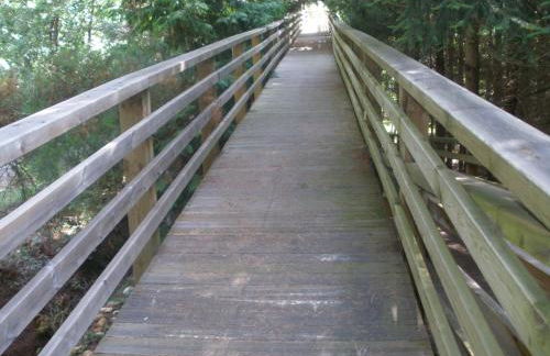 La Canaleja - Photo 18