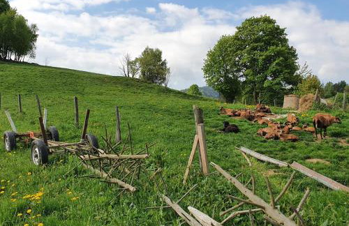 Domek Góralski Piwowarówka - Foto 79