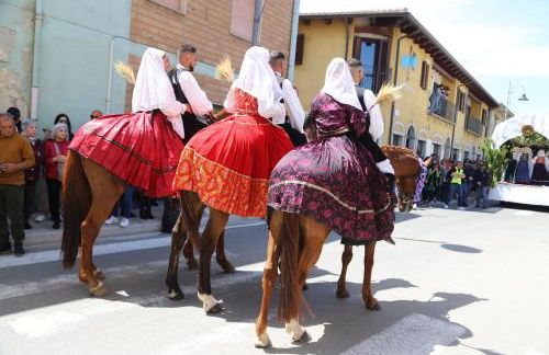 Open Suite Cobalto - Foto 66