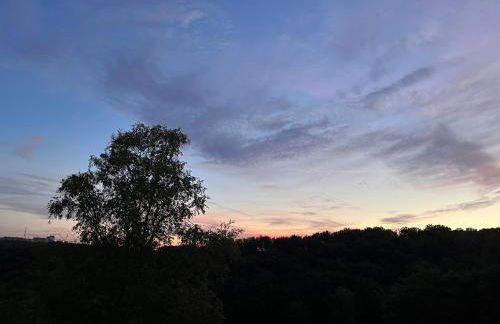 Ferienwohnungen Waldblick - Foto 18