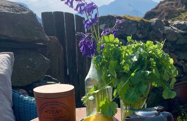 Cottage Dinorwig, get Away From it all - Foto 11