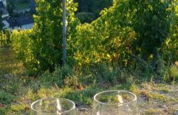 Ferienhaus Moselglück - Foto 52