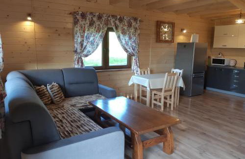 Domek na wzgórzu "RYŚ" - Foto 11