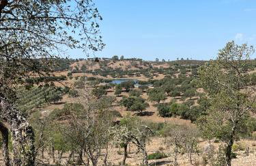 Herdade Terra rica - Photo 44
