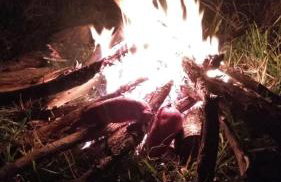 Cabana Jandaia - Foto 35