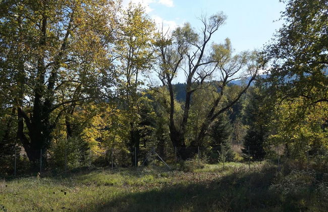 Forest Haven Chalet Karpenisi - Foto 6