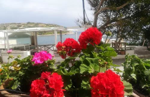 Mochlos Beach Villa Seafront house - Photo 36