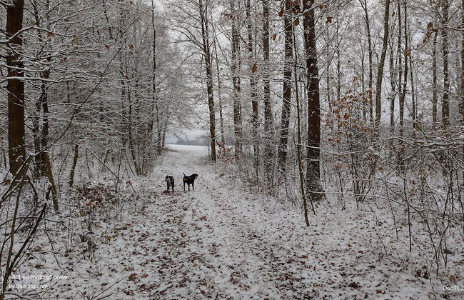 Agroletnica Country house - Foto 38