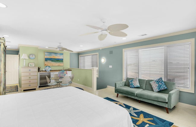 Blue Turtle Dreams - Foto 8