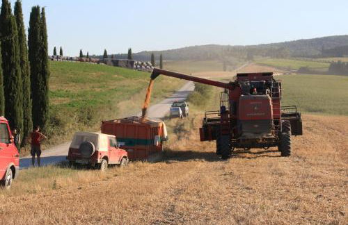 Agriturismo La Roverella - Foto 30