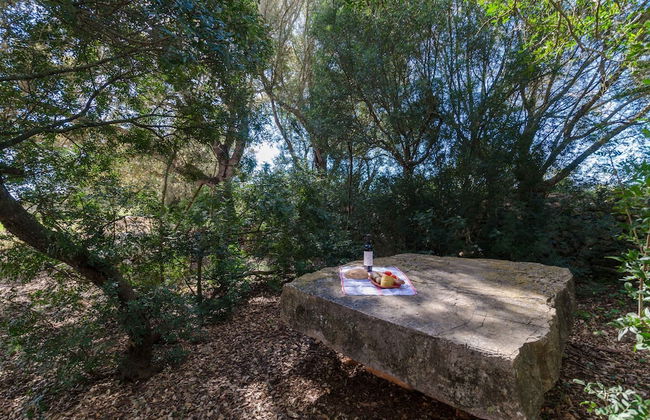 Son Juli in Porreres - Foto 33