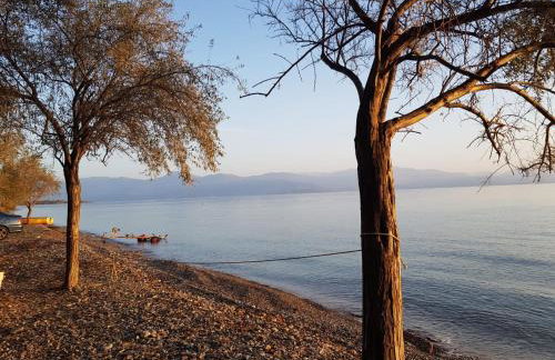 Villa Rodia - Foto 15