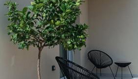 Villa Terra Nuova - Foto 2