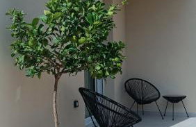 Villa Terra Nuova - Photo 2