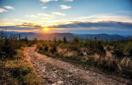 Apartamenty Black Lion - Foto 47