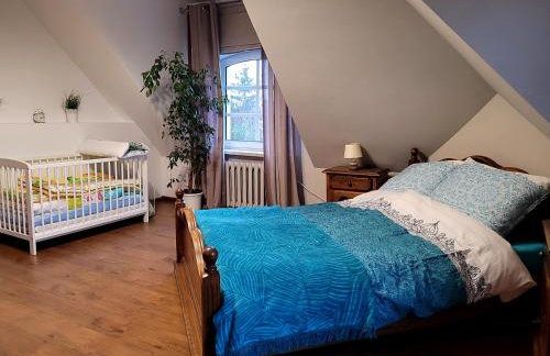 Familienurlaub 8 Personen Ferienhaus Polen Urlaub Insel Wolin Ostsee Ferienwohnung - Foto 8