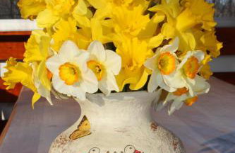 D.I.M. Holiday House - Foto 18