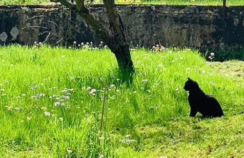 Der 5. Raum - Ferienwohnung und Entspannung - Foto 15