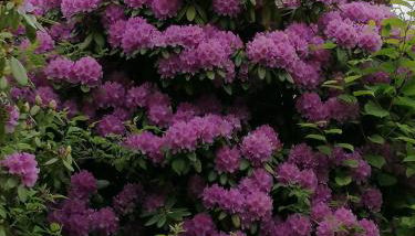 Ferienwohnung Oberpfannenstiel - Foto 3