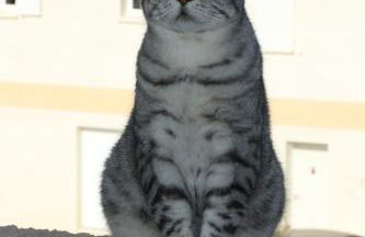 Superbe appartement dans résidence avec piscine - Foto 55