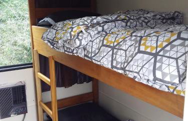 Barco Casa Pantanal Toca da Onça - Photo 35